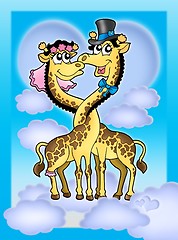 Image showing Giraffes wedding