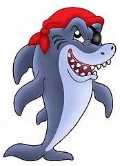 Image showing Pirate shark