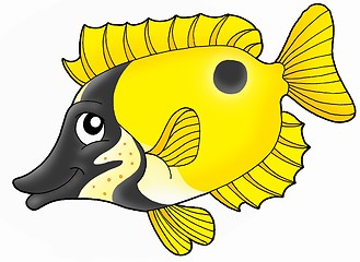 Image showing Foxface rabbitfish