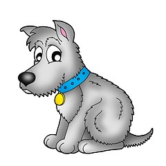 Image showing Cute grey dog