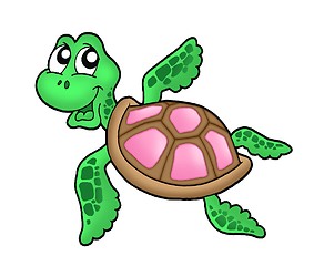 Image showing Little sea turtle pink