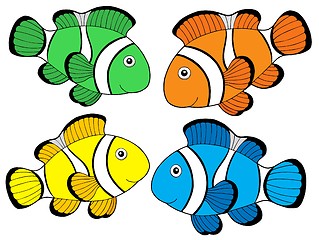 Image showing Various color clownfishes 1