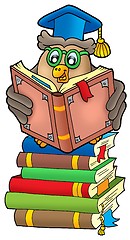 Image showing Reading owl teacher on books