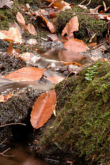 Image showing stream 553