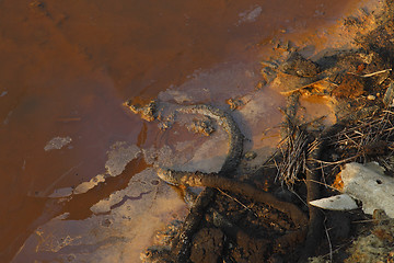 Image showing Water pollution