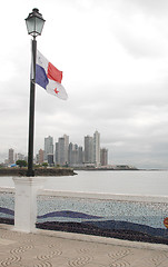 Image showing panama 617