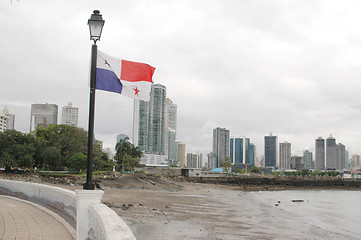 Image showing panama 621