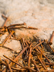 Image showing Rusty Nails