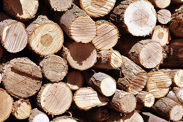 Image showing stack of firewood 