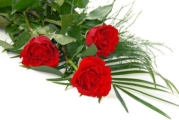 Image showing Red roses