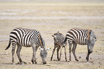 Image showing Happy  family