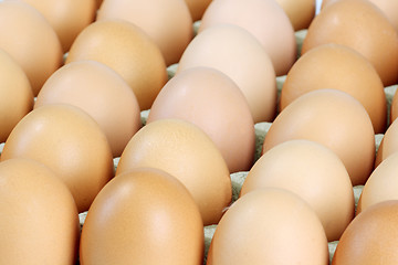 Image showing Brown eggs