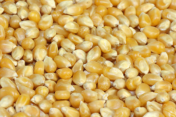 Image showing Dried corn