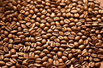Image showing Just coffee beans