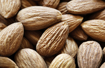 Image showing almonds