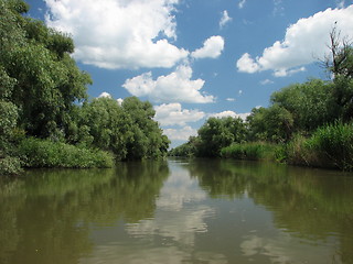 Image showing Danuber Delta - Romania