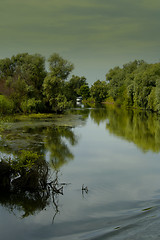 Image showing Danuber Delta - Romania