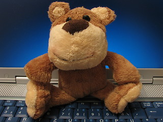 Image showing Teddy bear on the laptop