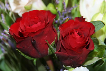 Image showing Red roses