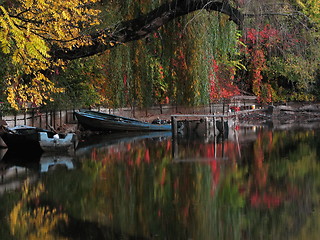 Image showing Autumn colours - Herastrau Park