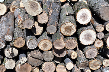 Image showing stack of firewood