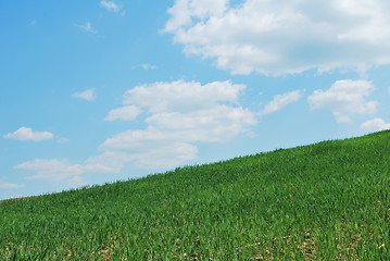 Image showing Sky And Grass