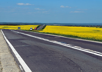 Image showing Yellow Field