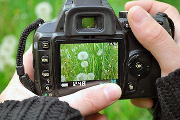 Image showing Camera Display With Plants