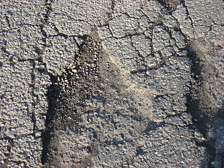 Image showing Image in asphalt