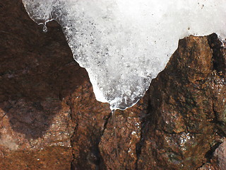 Image showing Ice melting in the spring