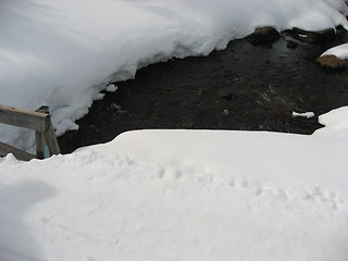 Image showing Small river in the snow