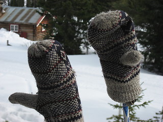 Image showing Mittens against the snow