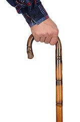 Image showing Cane