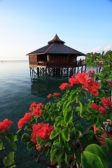 Image showing Mabul Island Resort