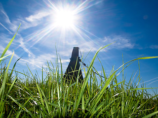 Image showing Beautiful fresh grass at spring