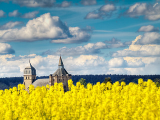 Image showing Colza field and church