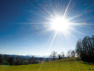 Image showing Meadow under spring sun