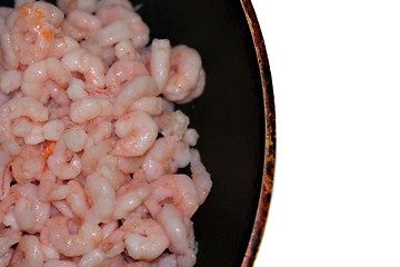 Image showing Shrimp