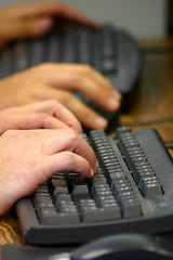 Image showing Close-up shot of hands on a keyboard.