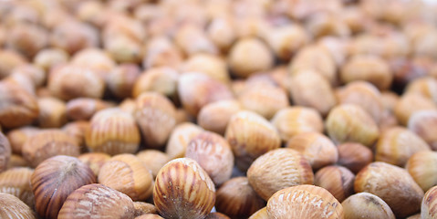 Image showing hazel nuts