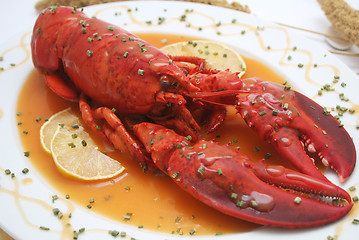 Image showing a lobster
