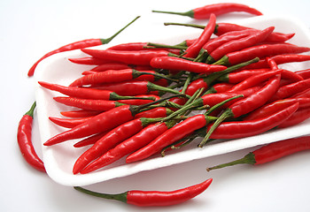 Image showing asian chilis