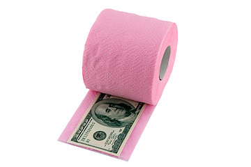 Image showing 100 dollars in toilet paper