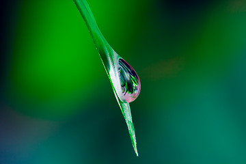 Image showing Waterdrop on grass