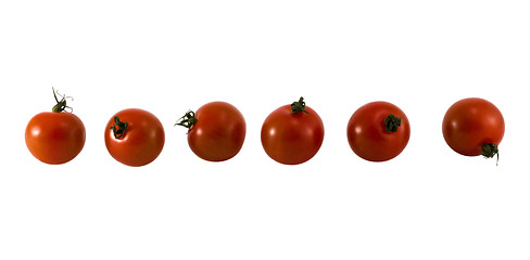 Image showing Tomatos group