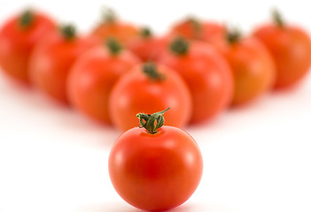 Image showing Tomato group 