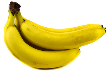 Image showing Bunch of bananas isolated on white background
