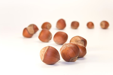 Image showing many nuts