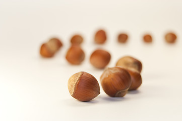 Image showing many nuts