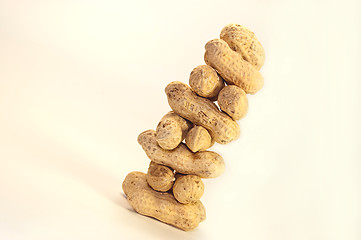 Image showing many nuts 